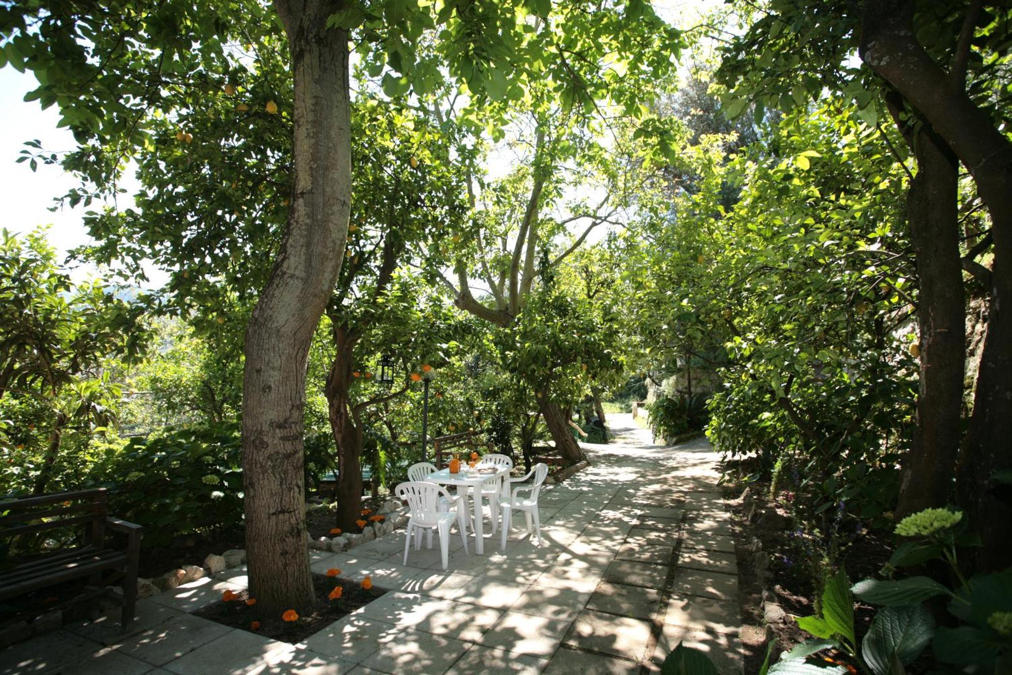 L Arancio In Fiore Bad&Breakfast Sant'Agnello Exterior foto