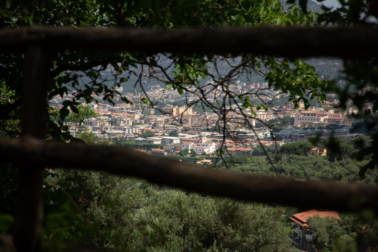 L Arancio In Fiore Bad&Breakfast Sant'Agnello Exterior foto