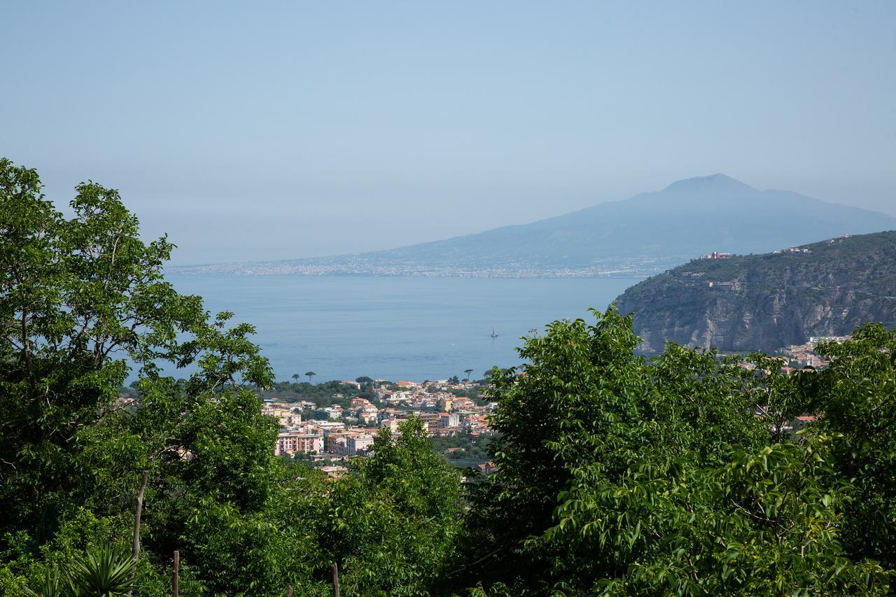 L Arancio In Fiore Bad&Breakfast Sant'Agnello Exterior foto