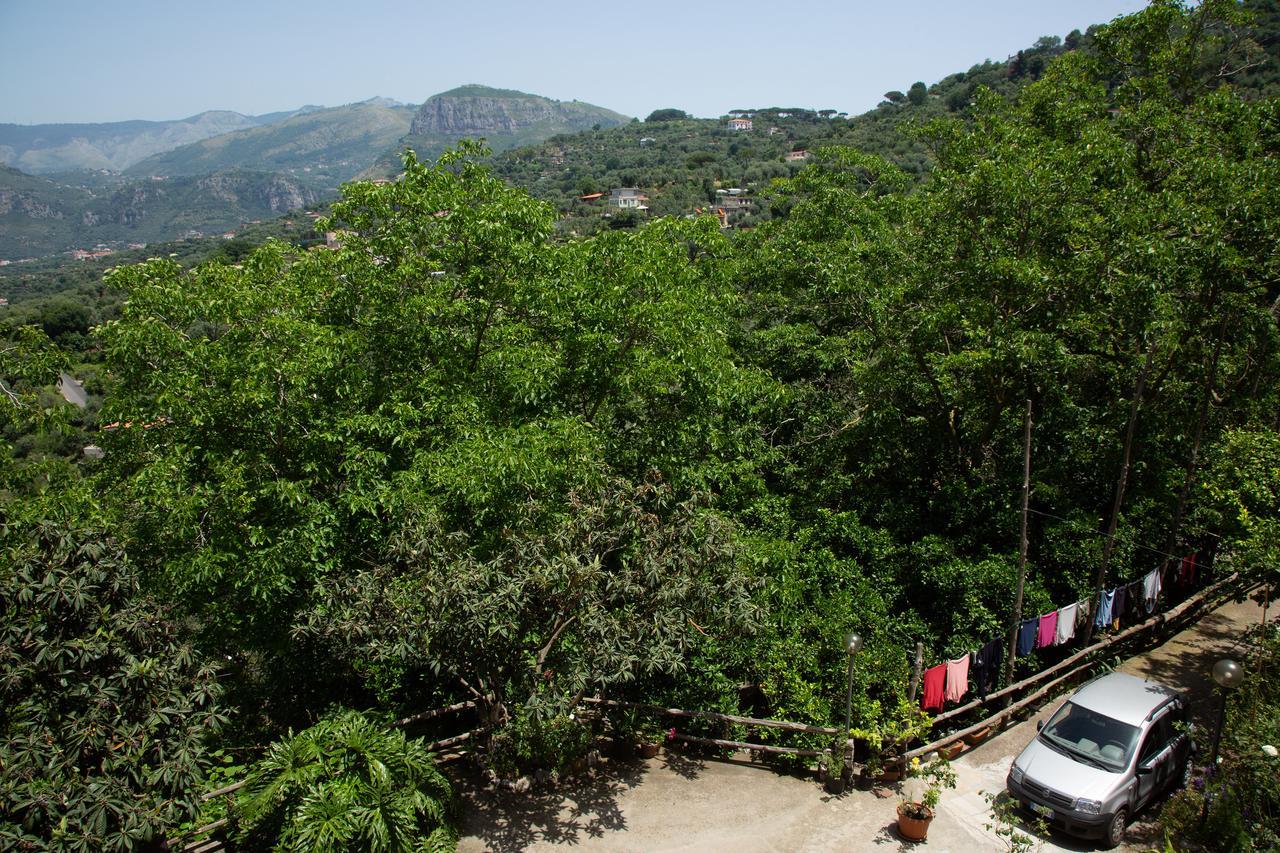 L Arancio In Fiore Bad&Breakfast Sant'Agnello Exterior foto