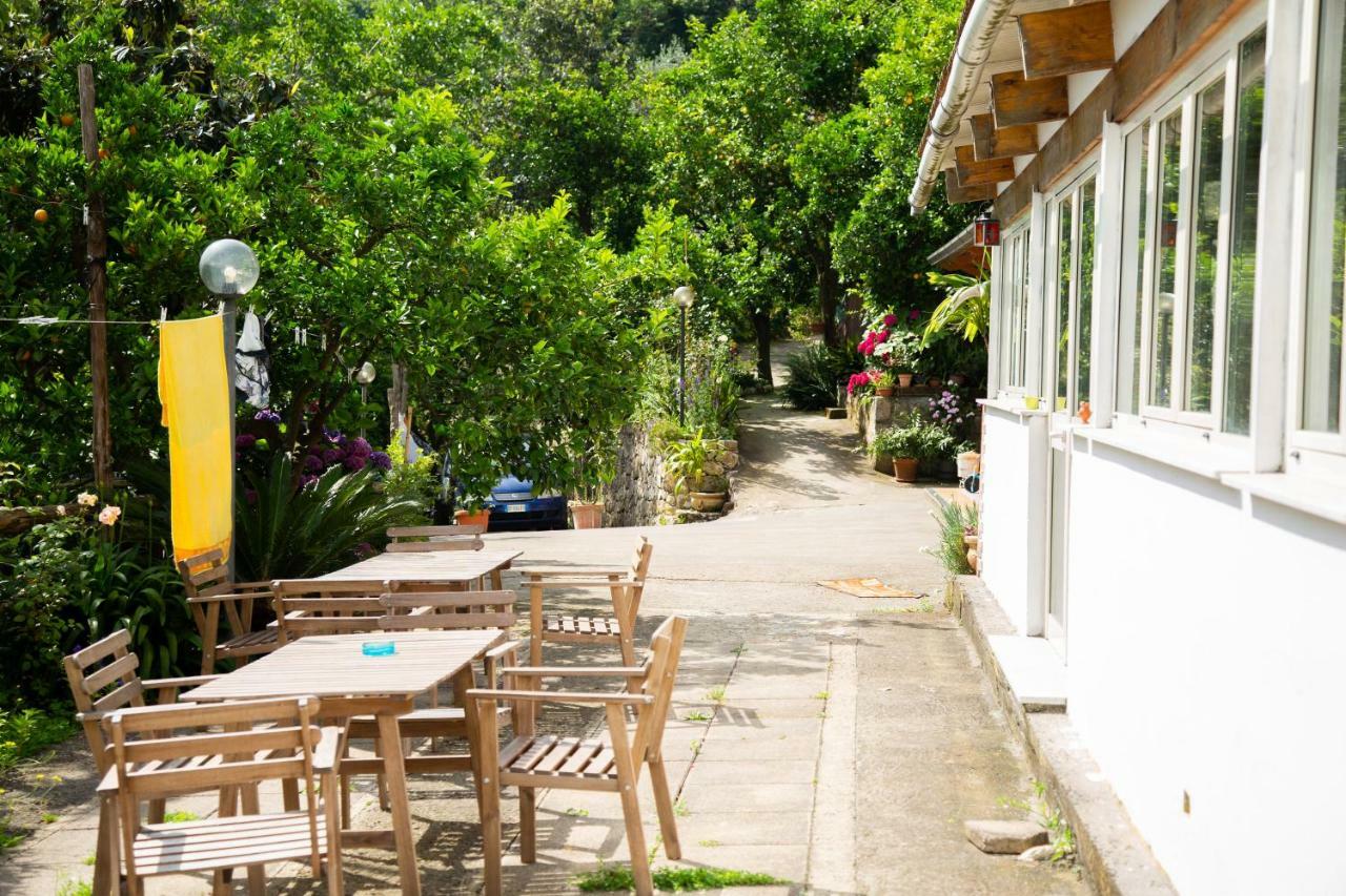 L Arancio In Fiore Bad&Breakfast Sant'Agnello Exterior foto