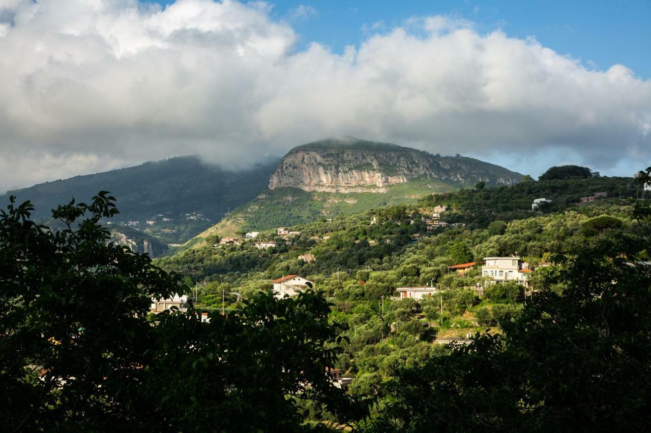 L Arancio In Fiore Bad&Breakfast Sant'Agnello Exterior foto